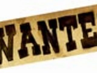 Wanted-1-3